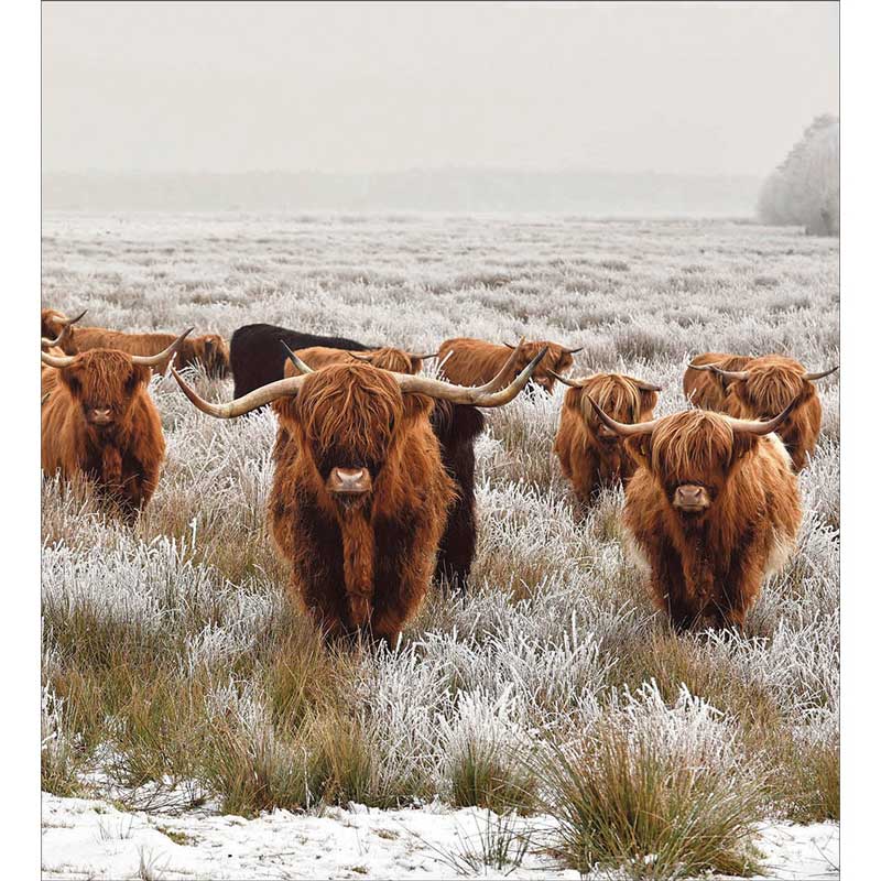 Woodmansterne Charity Christmas Cards - Winter Days (Pack of 5) image 0