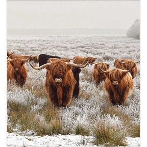 Woodmansterne Charity Christmas Cards - Winter Days (Pack of 5) image 0