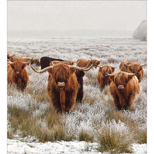 Woodmansterne Charity Christmas Cards - Winter Days (Pack of 5) image 0