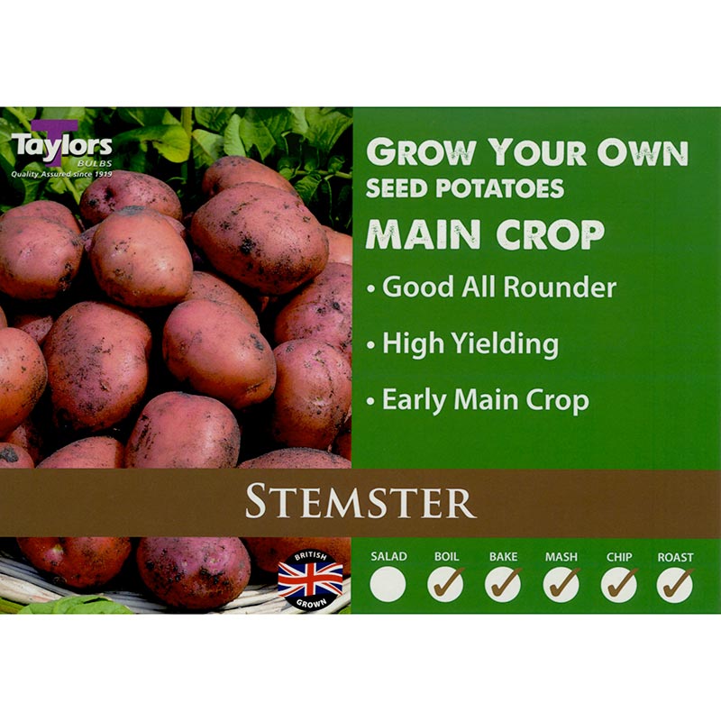 Stemster Main Crop Seed Potatoes (2kg Bag) image 0