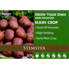 Stemster Main Crop Seed Potatoes (2kg Bag) image 0