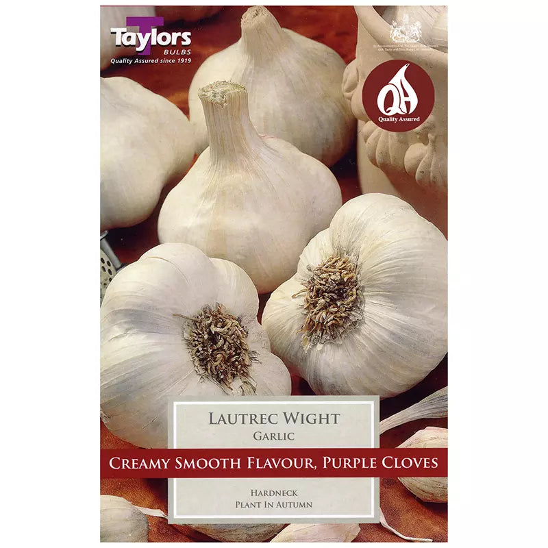 Lautrec Wight Garlic Bulb image 0