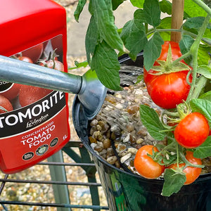 Levington Tomorite Concentrated Tomato Food image 3