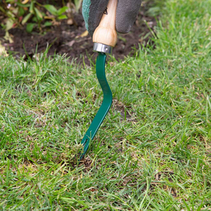 Wilkinson Sword Carbon Steel Weed Grubber image 1