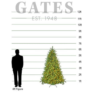 National Tree Princeton Medium Pre-Lit Christmas Tree - 6.5ft image 1