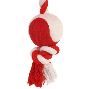 Zoon Tugga Santa Dog Toy (Assorted Designs) image 4