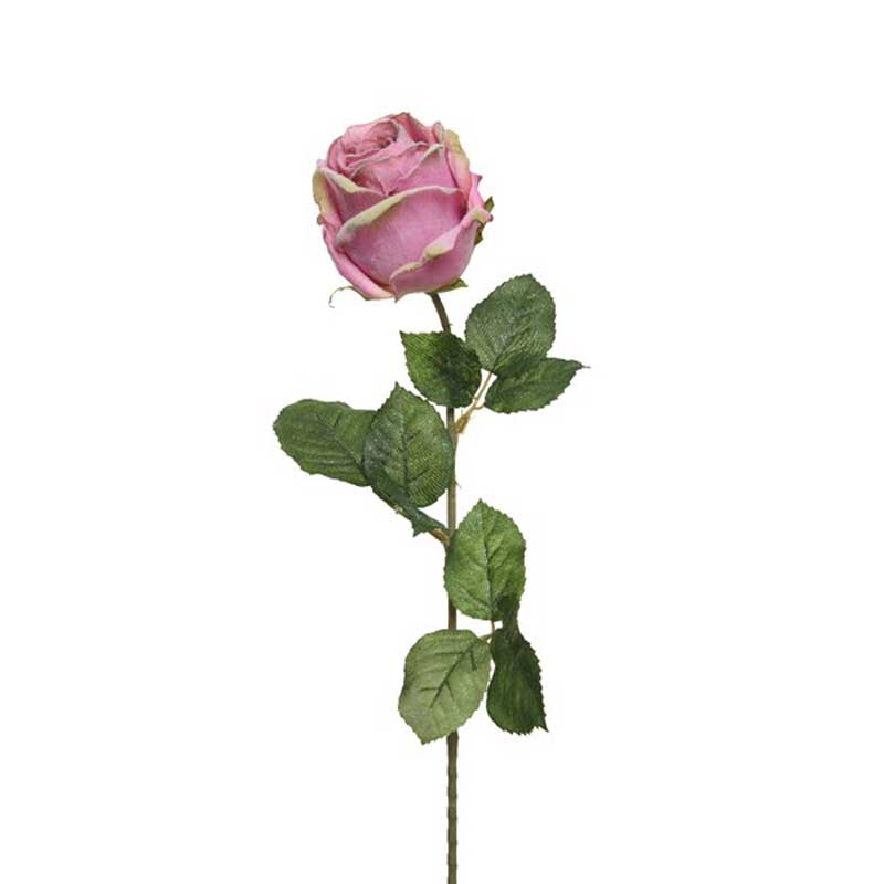 Everlands Velvet Pink Rose Stem (62cm) image 0