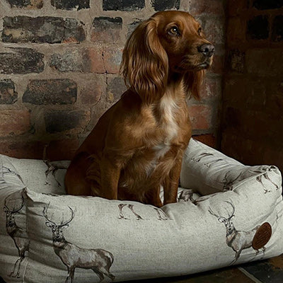 Snug & Cosy Rectangle Moorland Stag Dog Bed image 0