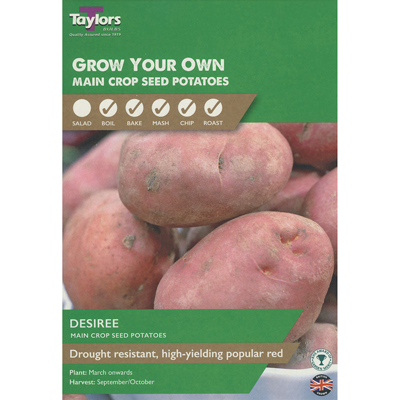 Desiree Main Crop Seed Potatoes image 0