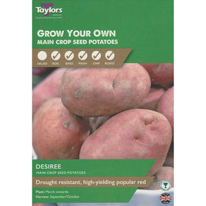 Desiree Main Crop Seed Potatoes - Pack of 10 image