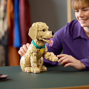 LEGO® Icons Golden Retriever Puppy (11384) image 17