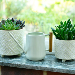 Burgon & Ball Indoor Watering Can image 4