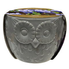 Owl Indoor Planter with Blue Iris ‘Harmony’ (5 bulbs) image 0