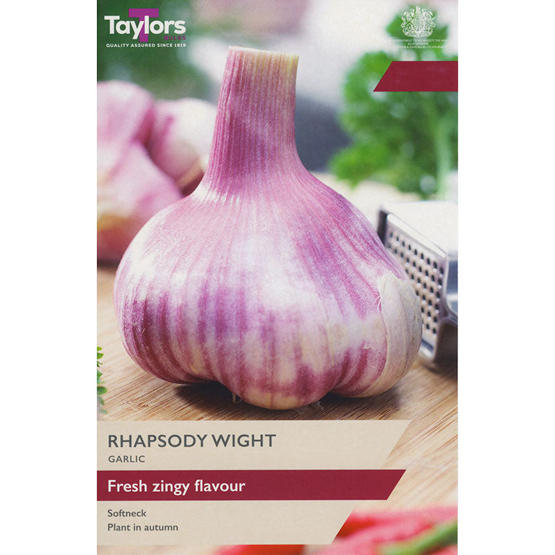 'Rhapsody Wight' Garlic (1 Bulb) image 0