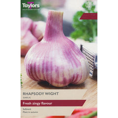 'Rhapsody Wight' Garlic (1 Bulb) image 0