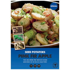 Pink Fir Apple Main Crop Seed Potatoes image 0