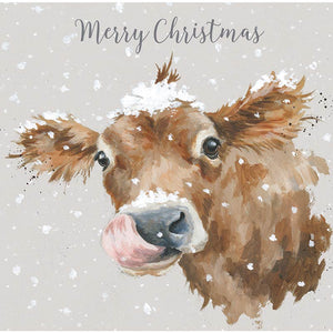 Wrendale Designs Luxury Boxed Cards - First Taste Of Snow (Pack of 8) image 2