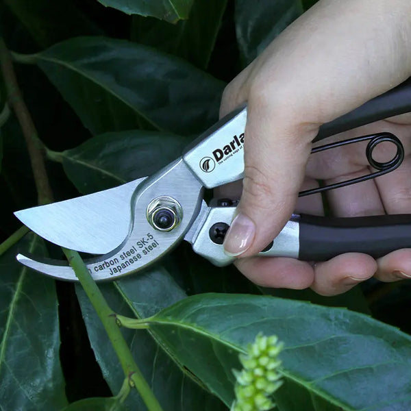 Darlac Compact Pruner image 1