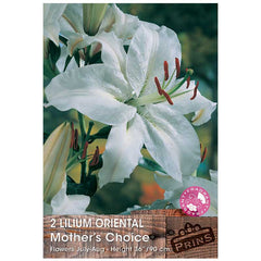 Lilium 'Oriental Mother's Choice' Bulbs image 0