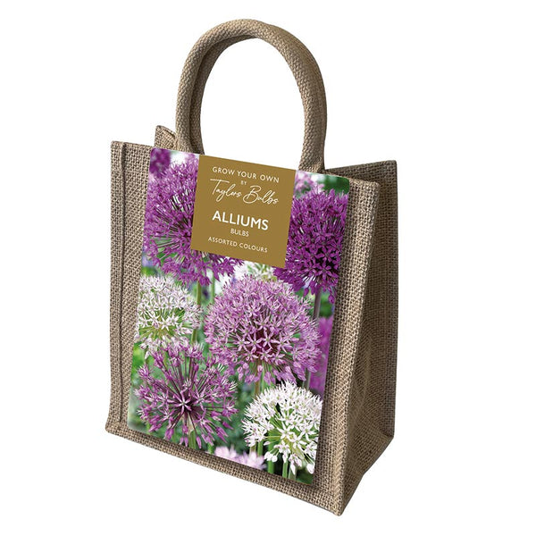 Allium Jute Gift Bag (15 Bulbs) image 0