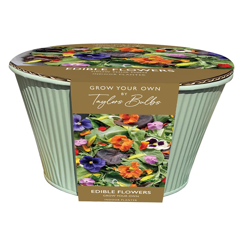 Edible Flowers Zinc Bowl Indoor Planter (72 Seeds) image 0