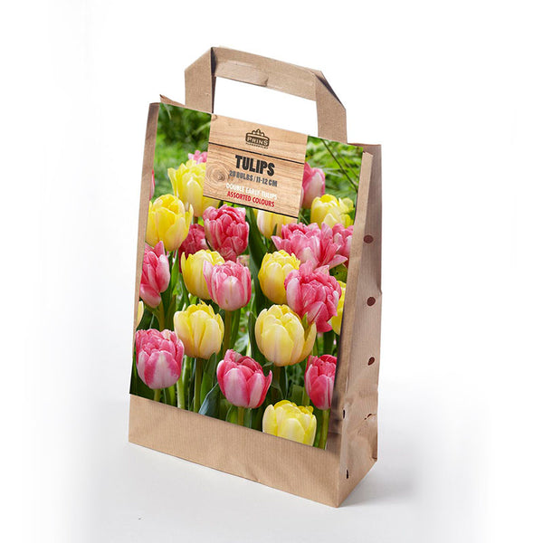 Double Tulip Pink and Yellow Mix in a Gift Bag (20 Bulbs) image 0