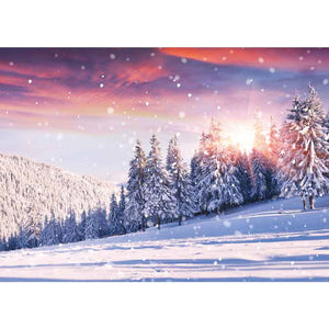 Ling Design Big Value Box - Winter Scenes (Pack of 24) image 7