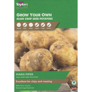 Maris Piper Main Crop Seed Potatoes - Pack of 10 image