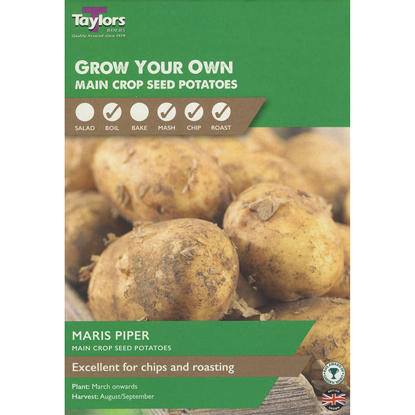 Maris Piper Main Crop Seed Potatoes - Pack of 10 image