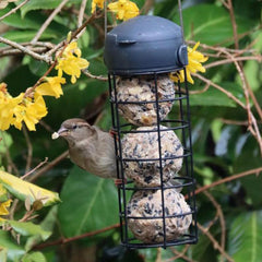 Henry Bell Essential Fat Ball Feeder image 0