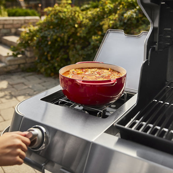 Weber Summit FS38 E Gas Grill Barbecue image 10