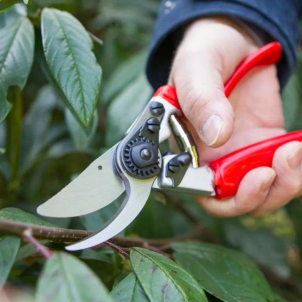 Darlac Expert Rotating Handle Pruner image 1
