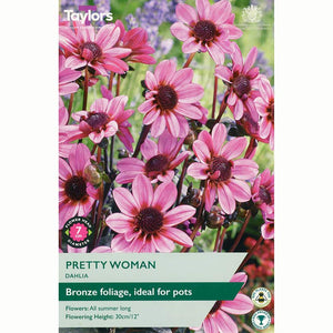 Dahlia ‘Pretty Woman’ with Sugar Pink Flowers (1 Tuber) image 0