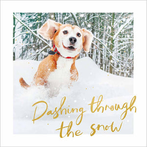 Woodmansterne Beagle Running Christmas Card image 0