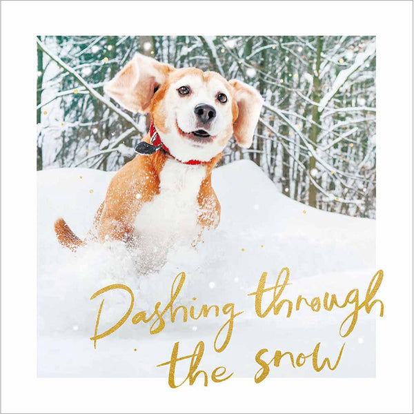 Woodmansterne Beagle Running Christmas Card image 0