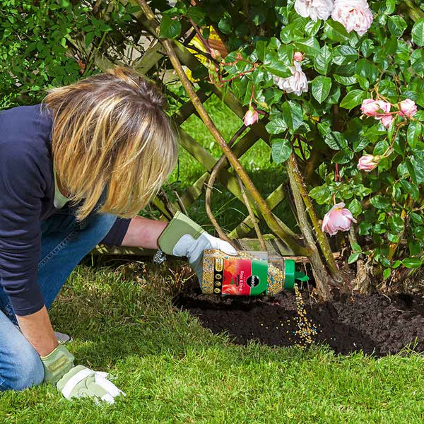 Miracle-Gro Premium Rose & Shrub Continuous Release Plant Food (900g) image 2