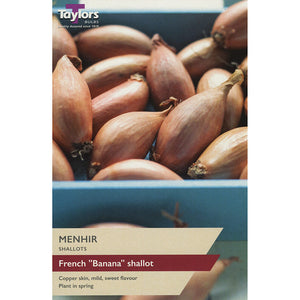 Menhir Shallot Sets (Pack of 10) image 0