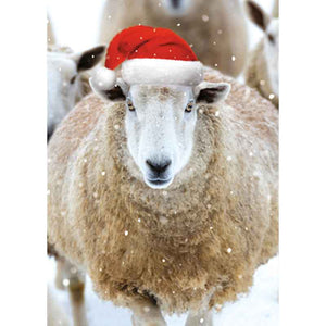 Ling Design Big Value Box - Christmas Animals (Pack of 24) image 4