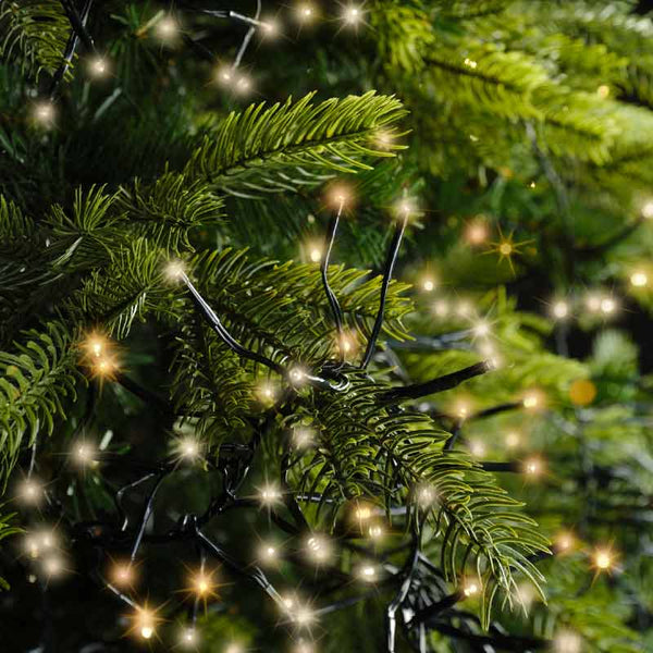 Lumineo Cluster Twinkle String Lights image 22