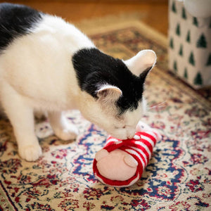Cupid & Comet 'Penny Pig In Blanket' Cat Toy image 4