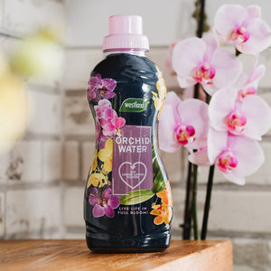 Westland Orchid Water (720ml) image 0