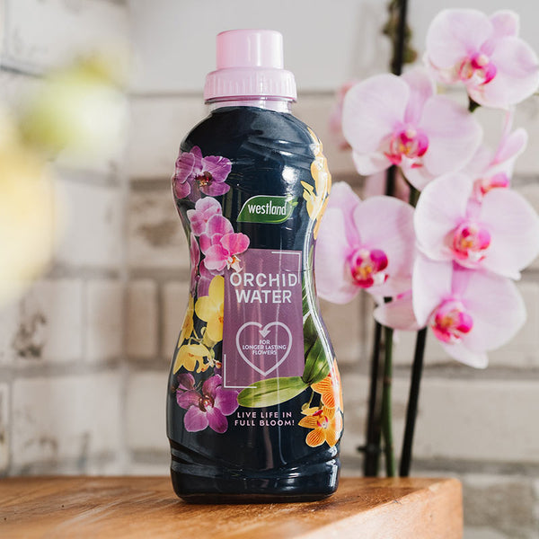 Westland Orchid Water (720ml) image 0