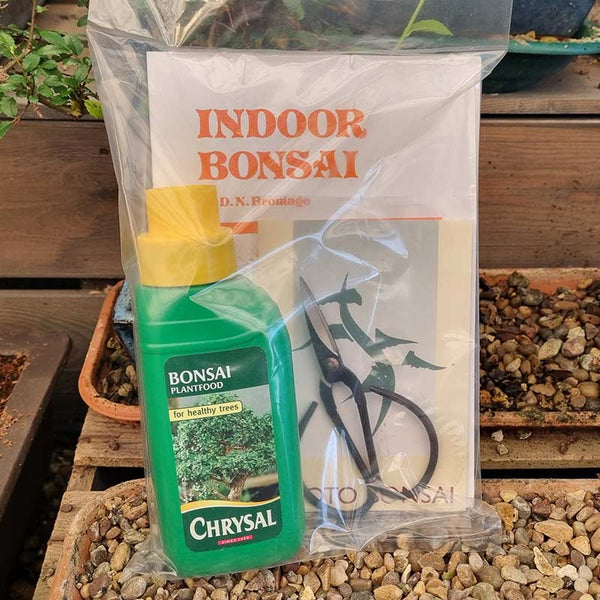 Bonsai Starter Set with Food, Scissors & Care Booklet image 0