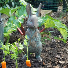 Home & Garden UK Peter Rabbit Garden Statue image 0