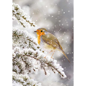 Ling Design Big Value Box - Christmas Animals (Pack of 24) image 1