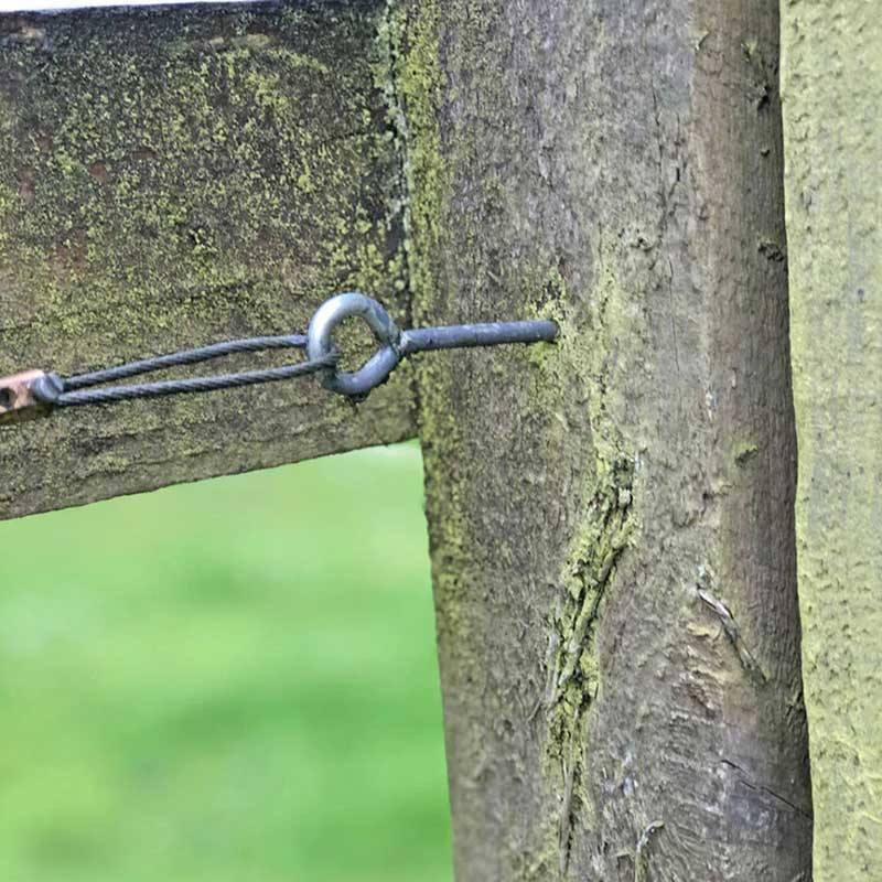 Screw in Vine Eyes (100mm) image 0