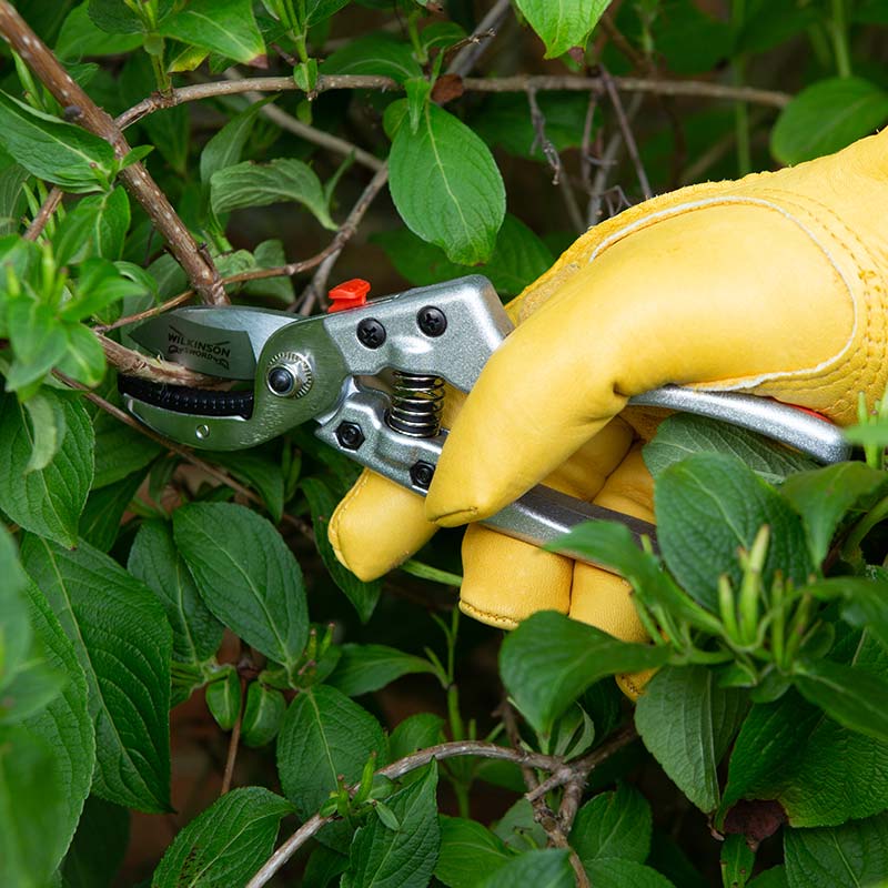 Wilkinson Sword Razorcut Comfort Anvil Pruning Secateurs image 0