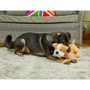 Petface Bailey Bulldog image 5