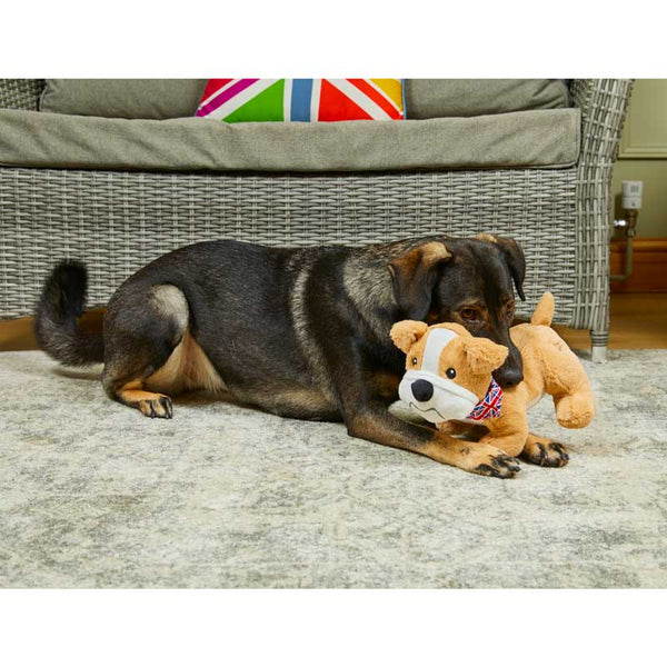 Petface Bailey Bulldog image 5