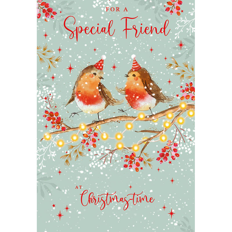 Nigel Quiney Robins Special Friend Christmas Card image 0